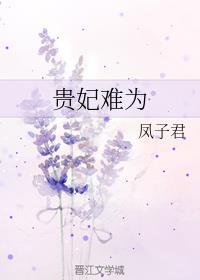 贵妃难为汤苒苒