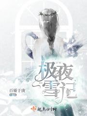 雪夜极光漫画解析