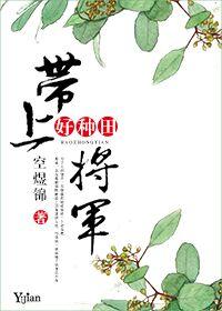 将军带崽寻夫记